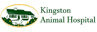 Link to Homepage of Kingston Animal Hospital