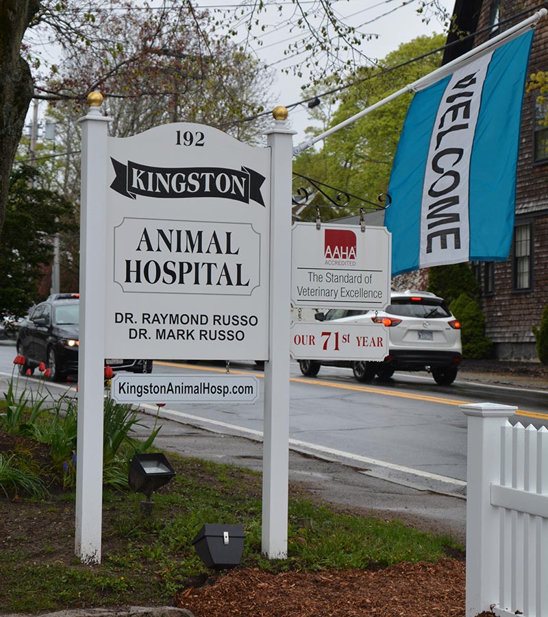 Kingston MA Pet Hospital